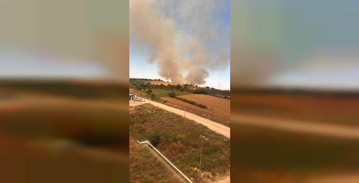 Edirne'de buğday tarlasında korkutan yangın kontrol altına alındı
