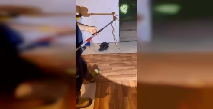 Elazığ'da buzdolabında yılan paniği: İtfaiye ekipleri kurtardı