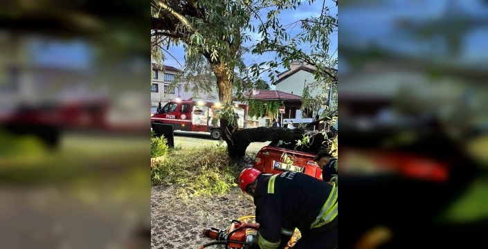 Eskişehir'de ağaç dalı otomobilin üzerine düştü, itfaiye hızlıca müdahale etti