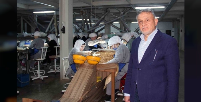 Fındık fiyatları dibi görüyor: Yeni sezonda ne beklemeli?