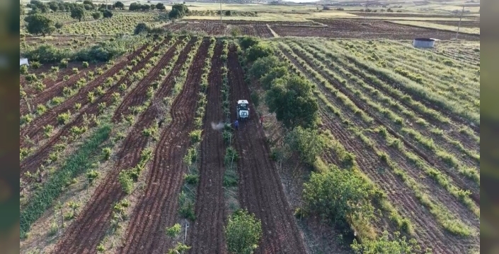 Gercüş'te bahar mesaisi: Çiftçiler tarlalarda hummalı bir çalışma içinde