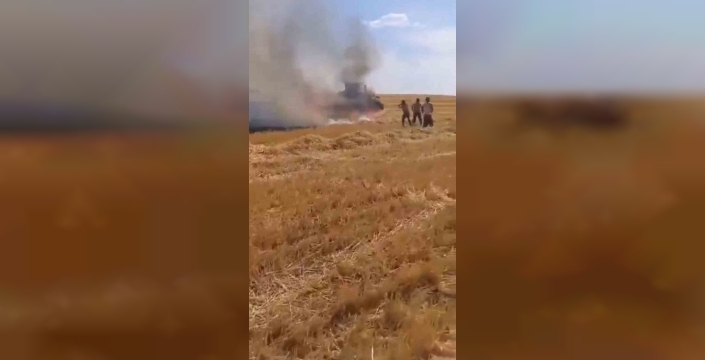 Harran'da dev yangın: Yüzlerce dönüm buğday küle döndü
