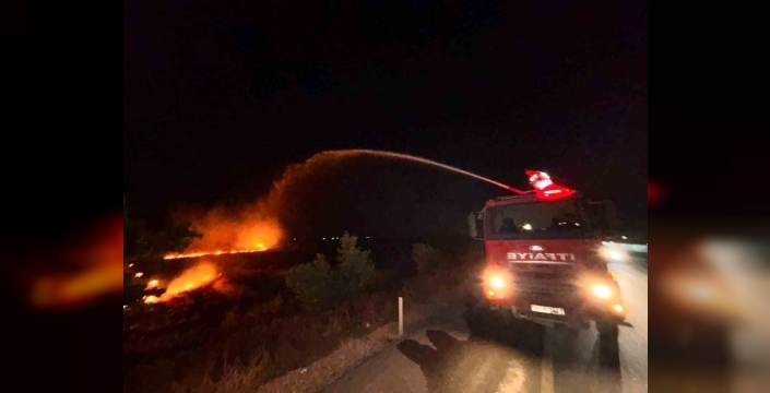 Hatay'da dehşet: Anız yangını zeytinlikleri yuttu, 200 dönüm kül oldu!