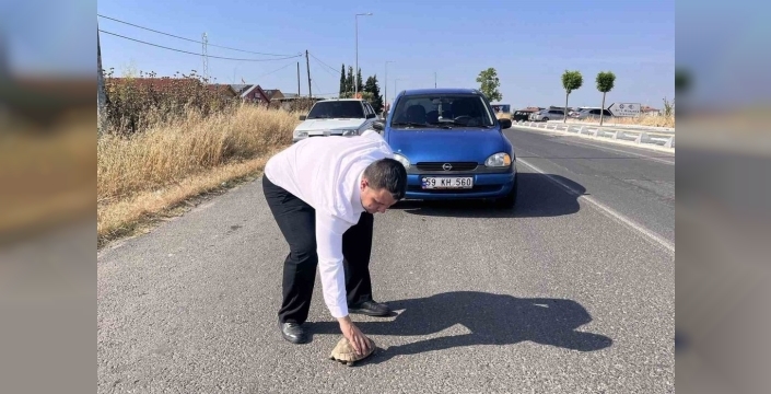 Hayrabolu'da bir sürücü, kaplumbağayı ezilmekten kurtardı