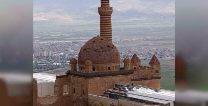 İshakpaşa Sarayı’ndaki otlar, ziyaretçileri endişelendiriyor