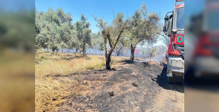 İzmir'de yürekler ağza geldi: Sera ve zeytinlikleri tehdit eden yangın 1 saatte söndürüldü