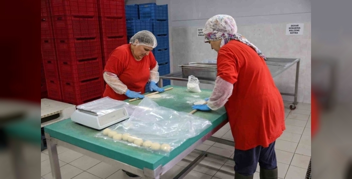 Kadınlar, tarımsal üretimde güçleniyor: Efeler'den global başarı