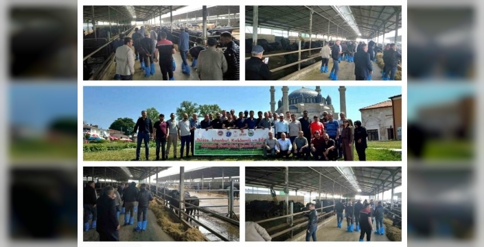 Kayseri'de manda yetiştiriciliğine kapsamlı destek programı