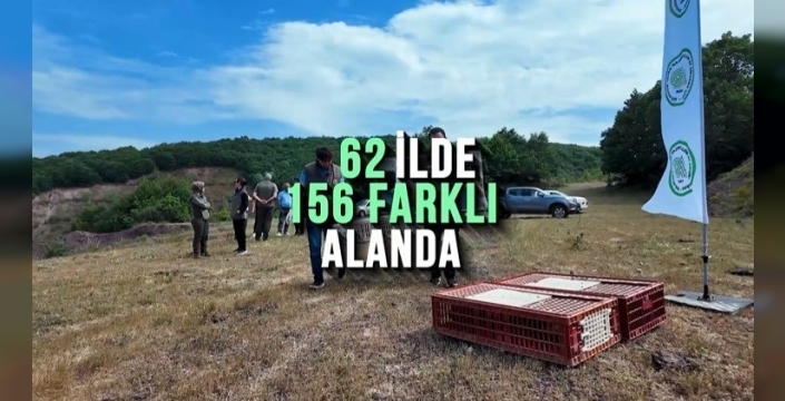 Kene ve kahverengi kokarcaya karşı doğal mücadele: 51 bin keklik ve sülün doğaya salınıyor