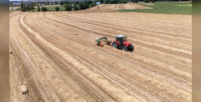 Kırklareli'nde zorlu mesai: Saman balyası tarladan ahıra, gün boyu 500 balya!