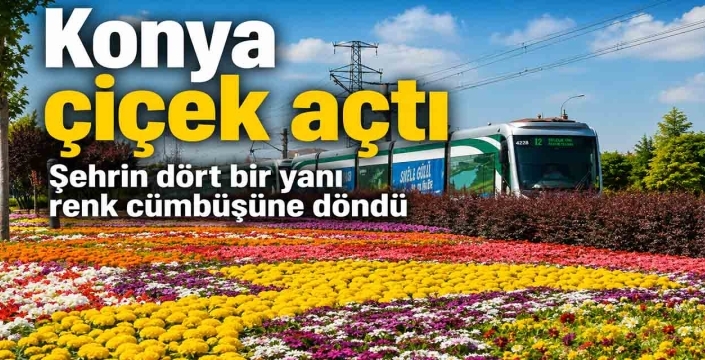 Konya çiçek açtı: Şehrin dört bir yanı renk cümbüşüne döndü