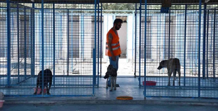 Konya’da iki belediye personel alacak: Başvurular başladı