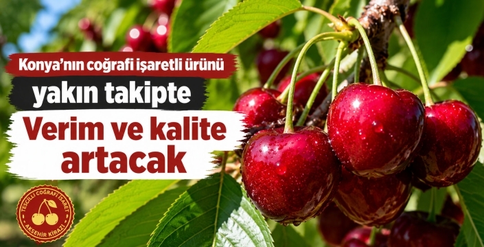 Konya’nın coğrafi işaretli ürünü için ekipler sahada