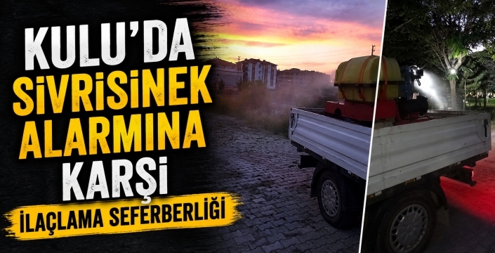 Kulu’da sivrisinek alarmına karşı ilaçlama seferberliği