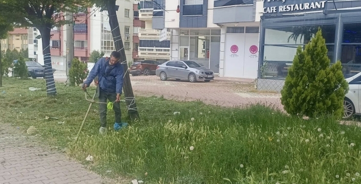 Kulu’da yeşil dönüşüm! İlçenin dört bir yanında bakım seferberliği