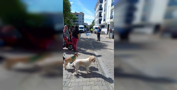 Lüleburgaz'da servis aracı çarptığı kadını hayattan kopardı