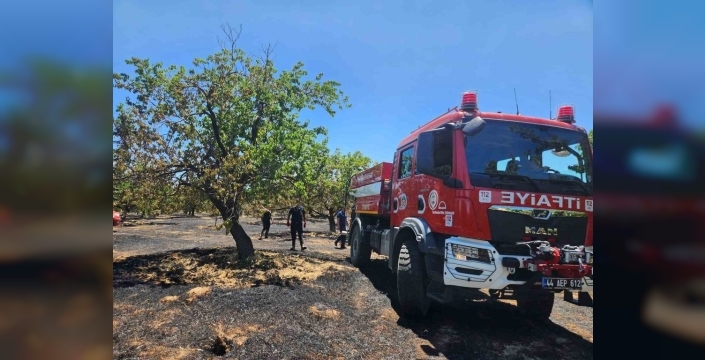 Malatya'da yangınlar korkuttu, ekipler seferber oldu