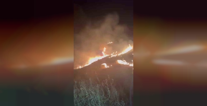 Mersin'deki yangın ormanlık alanı tehdit ediyor