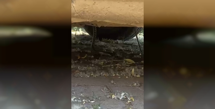 Motoruna yılan giren otomobilin imdadına itfaiye yetişti