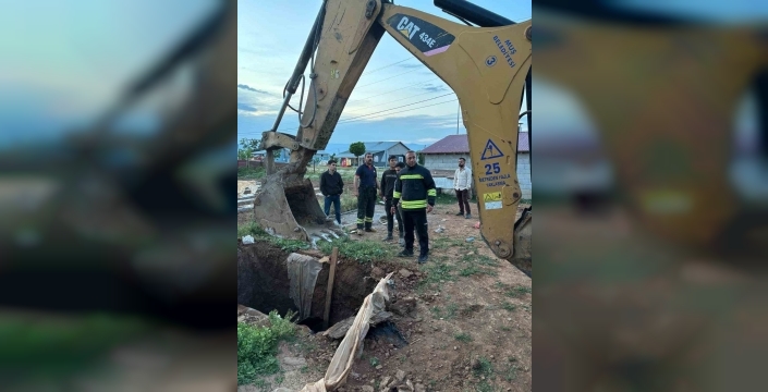Muş'ta inanılmaz kurtarma: Foseptik çukurundan kurtarılan inek sahibine kavuştu!