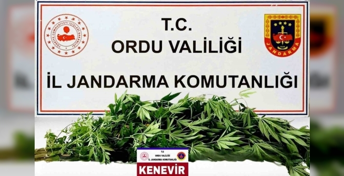 Ordu'da Bir Haftada Nefes Kesen Operasyon: 43 Aranan Şüpheli Yakalandı, 21'i Hapse Girdi