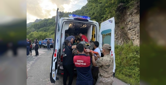 Ordu'da yürekleri ağza getiren kaza: Yolcu minibüsü uçuruma yuvarlandı, 9 yaralı