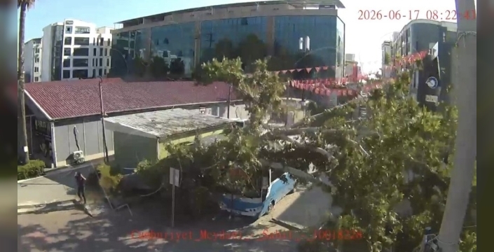Osmaniye'de nefes kesen an: Çınar ağacı otobüsün üzerine devrildi, bir vatandaş saniyelerle kurtuldu