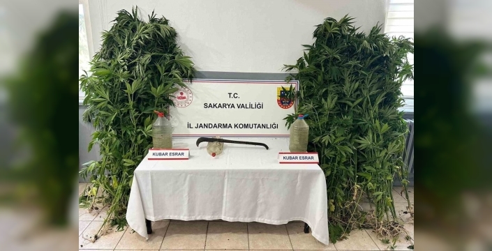 Sakarya'da uyuşturucu operasyonunda 212 kök kenevir ve 3 tutuklama