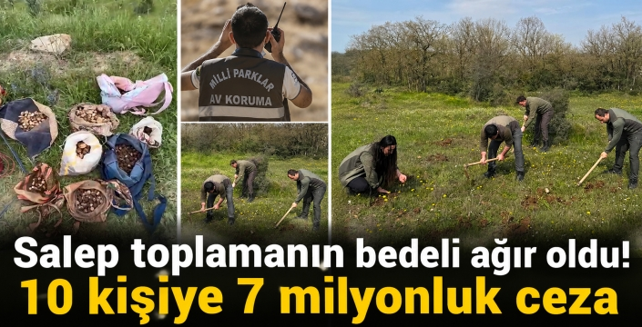 Salep toplamanın bedeli ağır oldu! 10 kişiye 7 milyonluk ceza