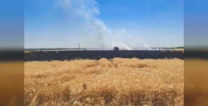Şanlıurfa'da buğday tarlası alevlere teslim oldu: Milyonluk hasar!