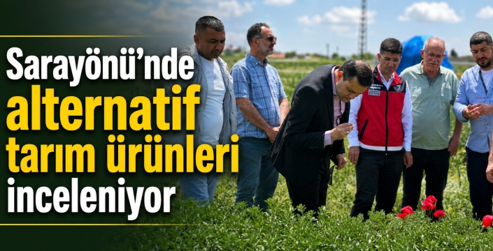 Sarayönü’nde alternatif tarım ürünleri inceleniyor