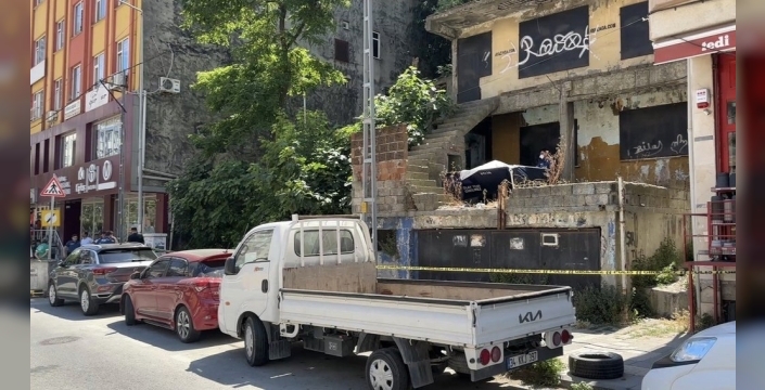 Sarıyer'de yürek burkan keşif: Kayıp kedi paniği, ölümle sonuçlandı