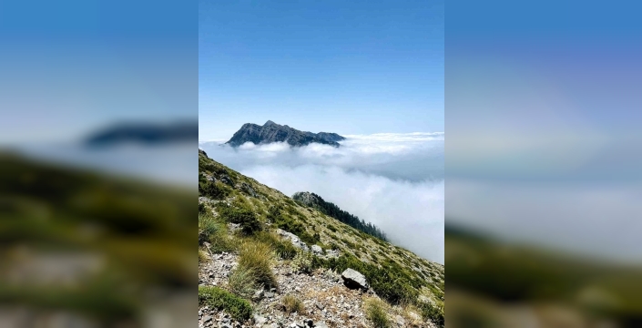 Sessizliğin Zirvesi: Kaya Düldül, Sis Denizinde Saklandı