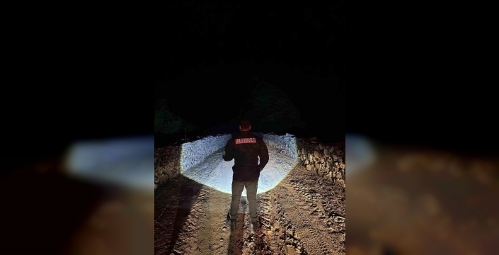 Sinop ormanları 'yeşil vatan' nöbetinde: Gece-gündüz koruma altında