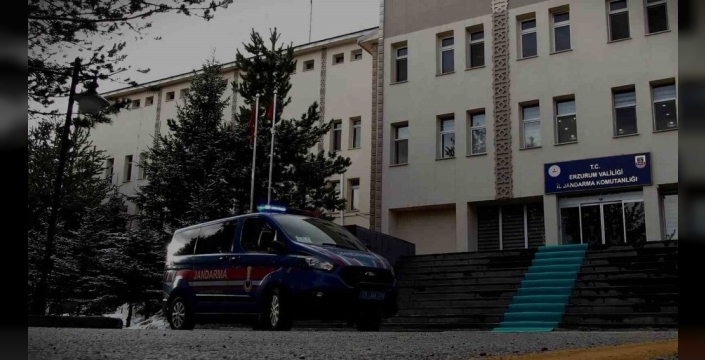 Sosyal medya dolandırıcılarına büyük darbe: 14 şüpheli yakalandı