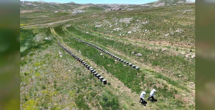Toroslarda bahar coşkusu: Arılar mesaiye başladı