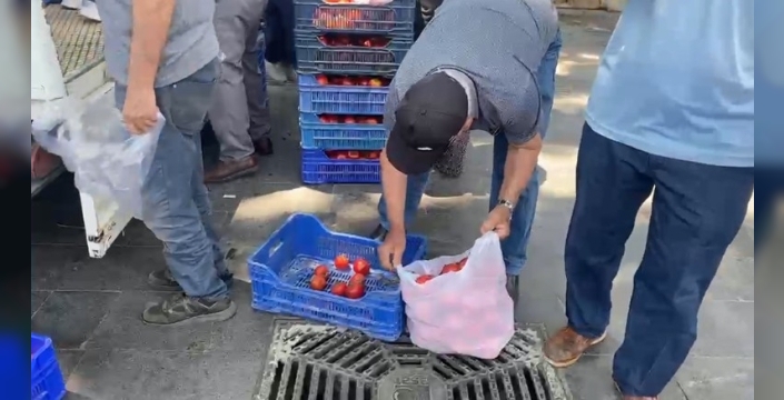 Üretici, alıcı bulamadığı domatesleri vatandaşlara ücretsiz dağıttı
