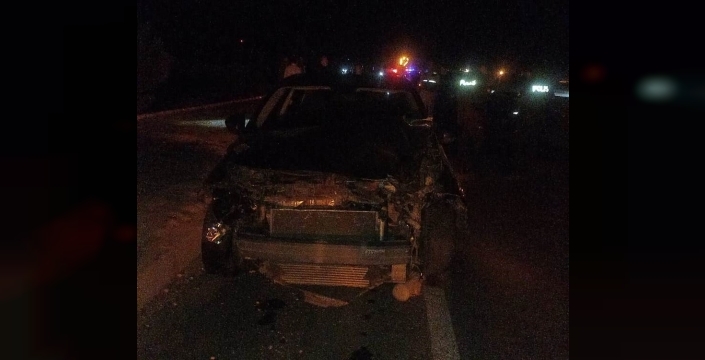 Van’da otomobil koyun sürüsüne çarptı, 17 koyun telef oldu
