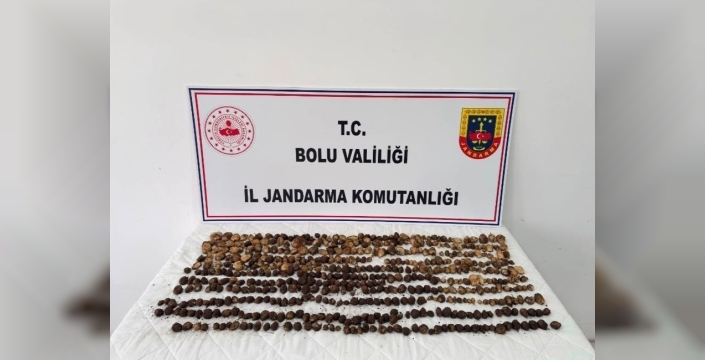 Yabani salebe dev ceza: 3 kişiye 2 milyonu aşkın para cezası kesildi!