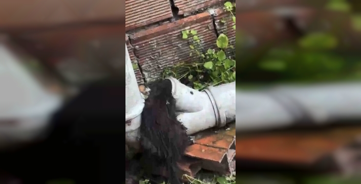 Yağmur suyu borusuna sıkışan yavru kedi kurtarıldı