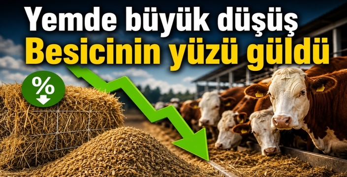 Yemde büyük düşüş: Besicinin yüzü güldü