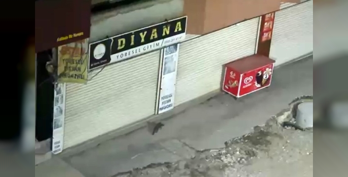 Yüksekova'da gece yarısı sarsar görüntülendi, herkes şaşkın!
