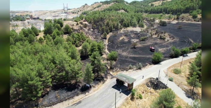 Adıyaman'daki orman yangını, binlerce ağacı tehdit etti
