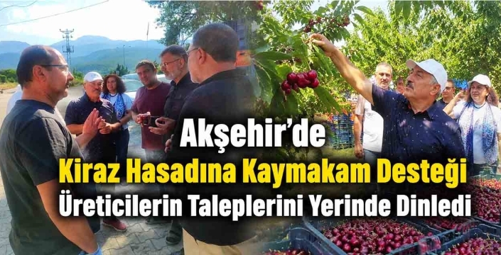 Akşehir'de Kiraz Hasadına Kaymakam Desteği! Üreticilerin Taleplerini Yerinde Dinledi