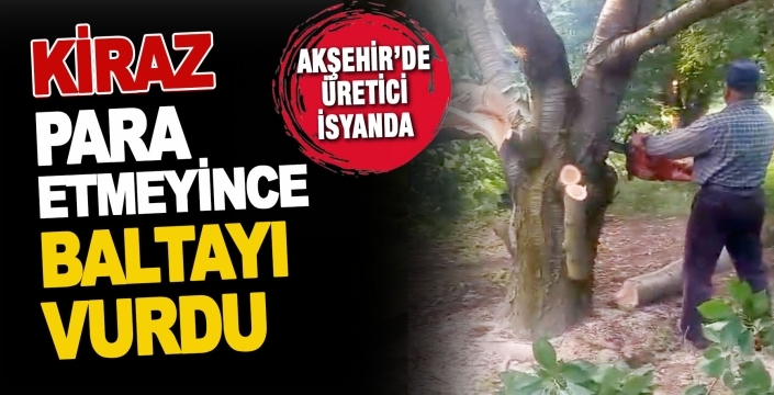 Akşehir’de kiraz üreticisi isyanda: 15 yıllık ağaçları kestiler