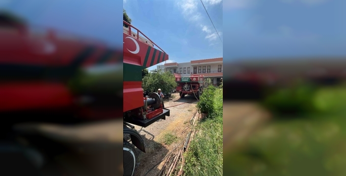 Alanya'da avokado bahçelerinde yangın paniği