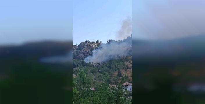 Alanya'da zirai alanda çıkan yangın, 1 dönümlük alanı küle çevirdi