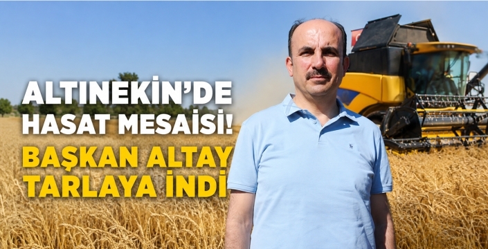 Altınekin'de hasat mesaisi! Başkan Altay tarlaya indi