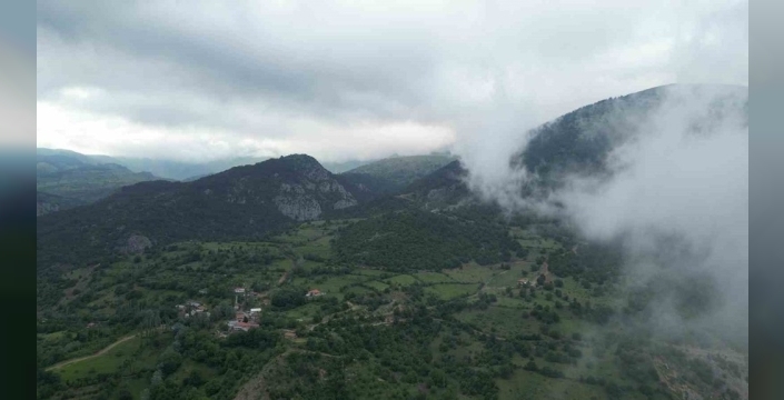Amasya'da yangın paniği: Ormanlara girişler 31 Ekim'e kadar yasaklandı