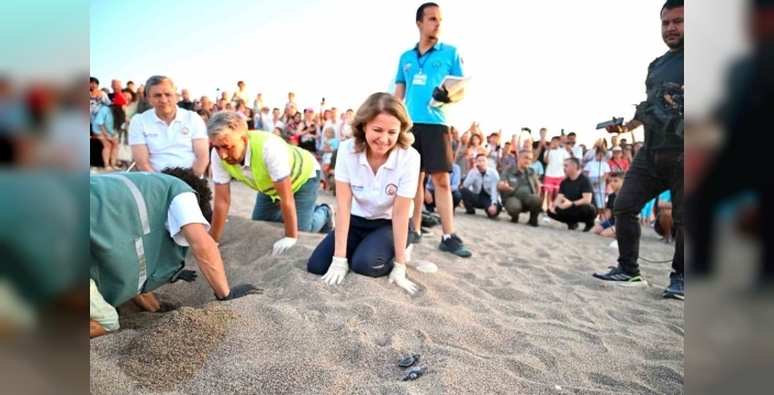 Antalya'da caretta caretta yavruları denizle buluştu